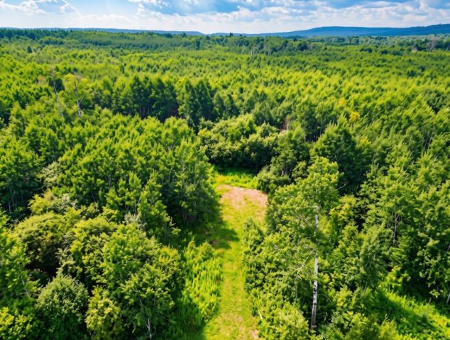 161 Valley Road Dorion