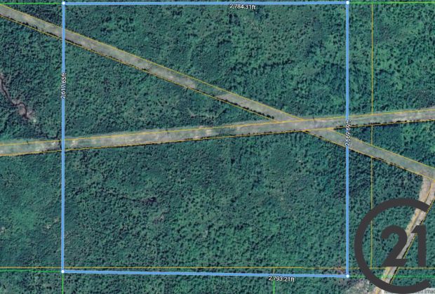 PT Lt 10 Con 2 Nipigon Paju