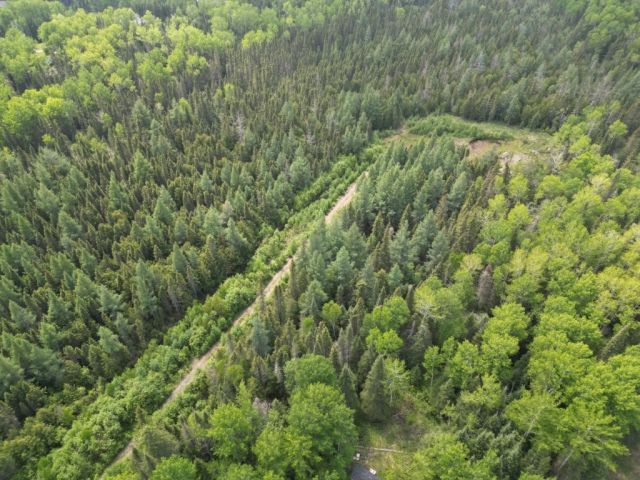 2999 Alice Avenue Thunder Bay ON