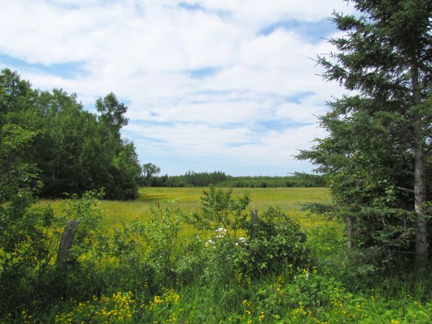 Lot 8 Whittaker Rd Kakabeka Falls ON